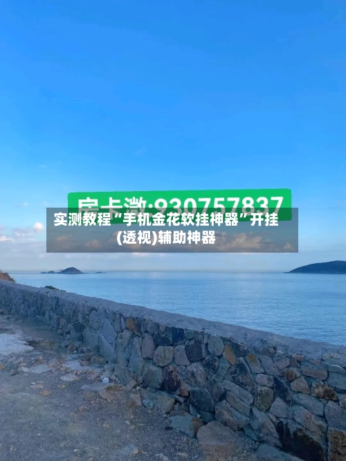 实测教程“手机金花软挂神器	”开挂(透视)辅助神器-第2张图片