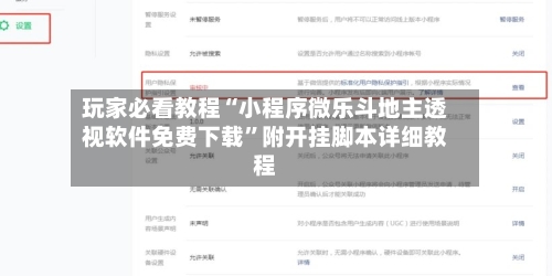 玩家必看教程“小程序微乐斗地主透视软件免费下载”附开挂脚本详细教程-第2张图片