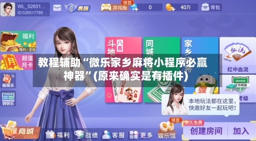 教程辅助“微乐家乡麻将小程序必赢神器	”(原来确实是有插件)-第2张图片