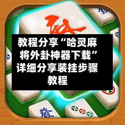 教程分享“哈灵麻将外卦神器下载”详细分享装挂步骤教程-第3张图片