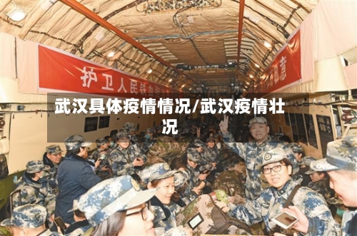 武汉具体疫情情况/武汉疫情壮况