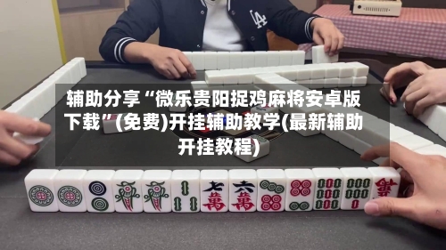 辅助分享“微乐贵阳捉鸡麻将安卓版下载	”(免费)开挂辅助教学(最新辅助开挂教程)-第2张图片