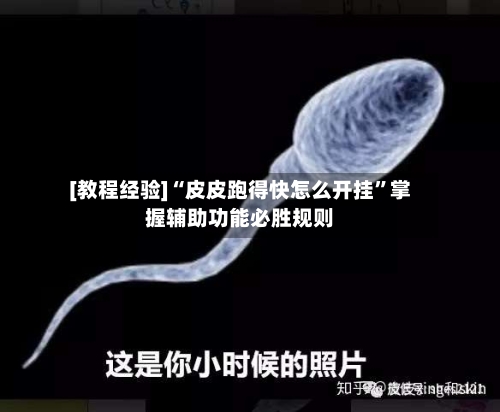 [教程经验]“皮皮跑得快怎么开挂”掌握辅助功能必胜规则-第2张图片