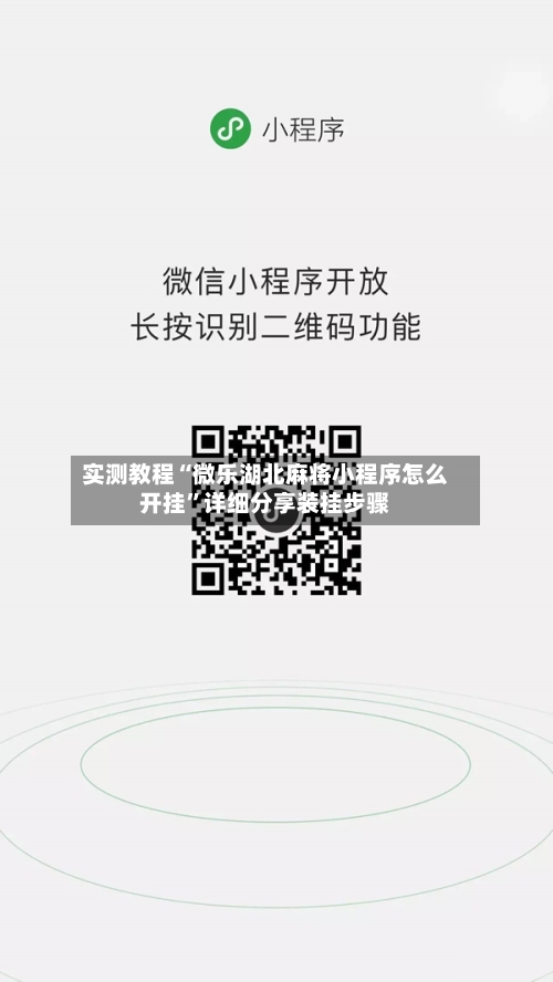 实测教程“微乐湖北麻将小程序怎么开挂”详细分享装挂步骤