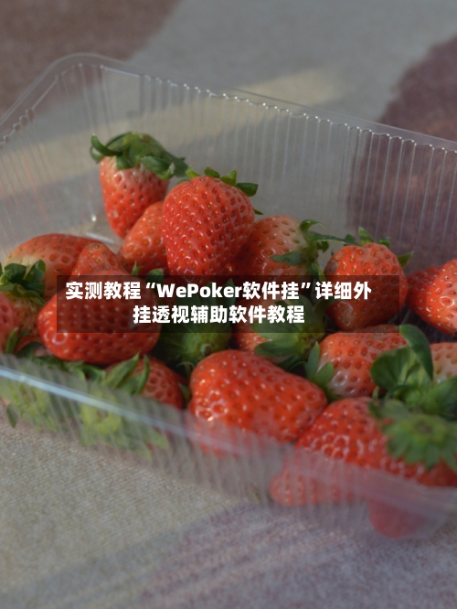 实测教程“WePoker软件挂”详细外挂透视辅助软件教程-第3张图片