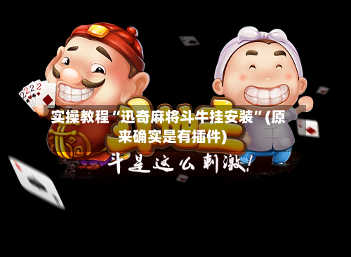 实操教程“迅奇麻将斗牛挂安装”(原来确实是有插件)-第2张图片