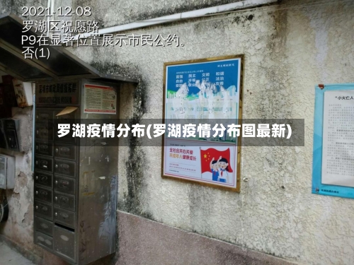 罗湖疫情分布(罗湖疫情分布图最新)-第2张图片