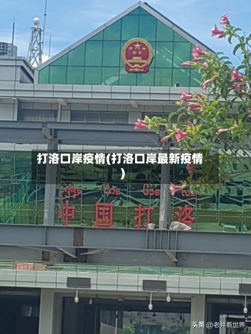 打洛口岸疫情(打洛口岸最新疫情)-第3张图片