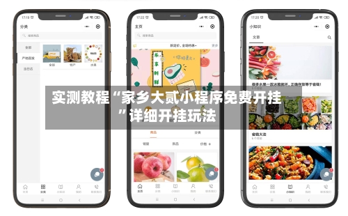 实测教程“家乡大贰小程序免费开挂”详细开挂玩法-第2张图片