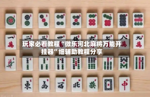 玩家必看教程“微乐河北麻将万能开挂器	”细辅助教程分享-第2张图片