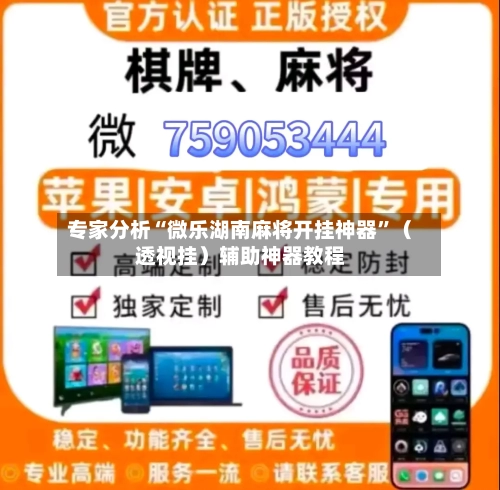 专家分析“微乐湖南麻将开挂神器”（透视挂）辅助神器教程-第2张图片