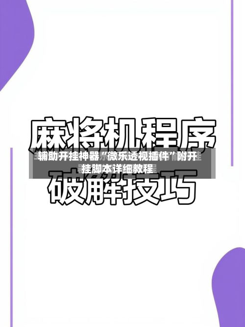 辅助开挂神器“微乐透视插件”附开挂脚本详细教程-第2张图片