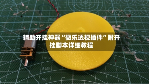 辅助开挂神器“微乐透视插件”附开挂脚本详细教程-第3张图片