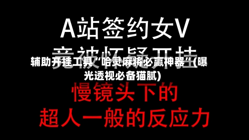 辅助开挂工具“哈灵麻将必赢神器”(曝光透视必备猫腻)-第2张图片