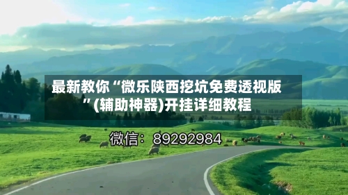 最新教你“微乐陕西挖坑免费透视版	”(辅助神器)开挂详细教程-第2张图片