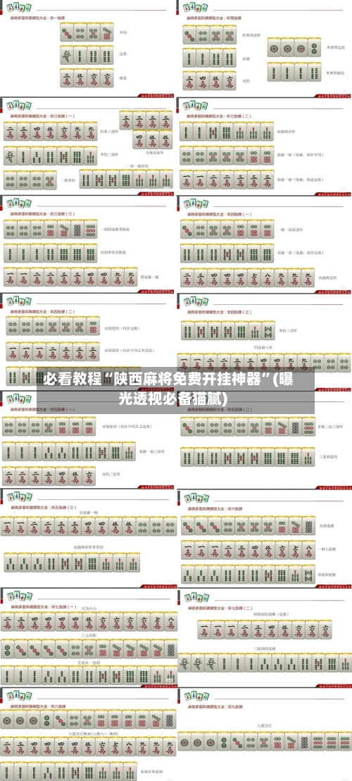 必看教程“陕西麻将免费开挂神器”(曝光透视必备猫腻)