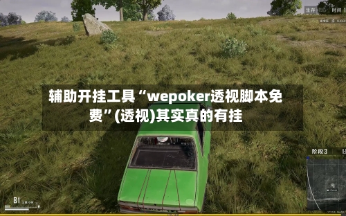 辅助开挂工具“wepoker透视脚本免费”(透视)其实真的有挂-第2张图片