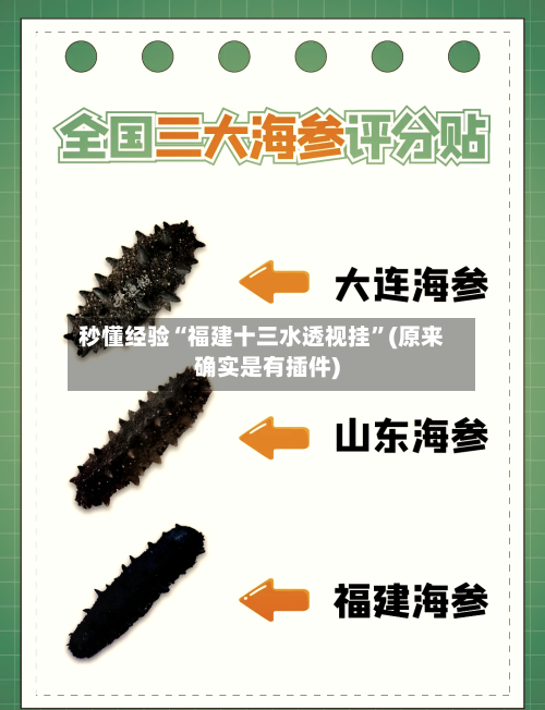 秒懂经验“福建十三水透视挂”(原来确实是有插件)-第3张图片