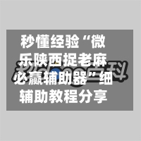 秒懂经验“微乐陕西捉老麻必赢辅助器”细辅助教程分享-第3张图片