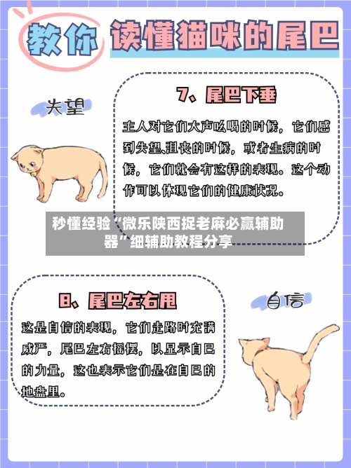 秒懂经验“微乐陕西捉老麻必赢辅助器”细辅助教程分享-第2张图片