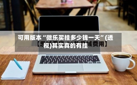 可用版本“微乐买挂多少钱一天”(透视)其实真的有挂-第2张图片