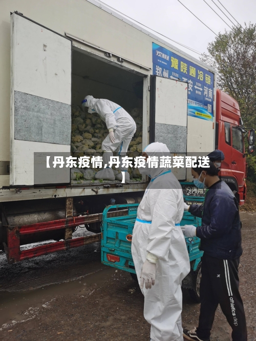 【丹东疫情,丹东疫情蔬菜配送】-第3张图片