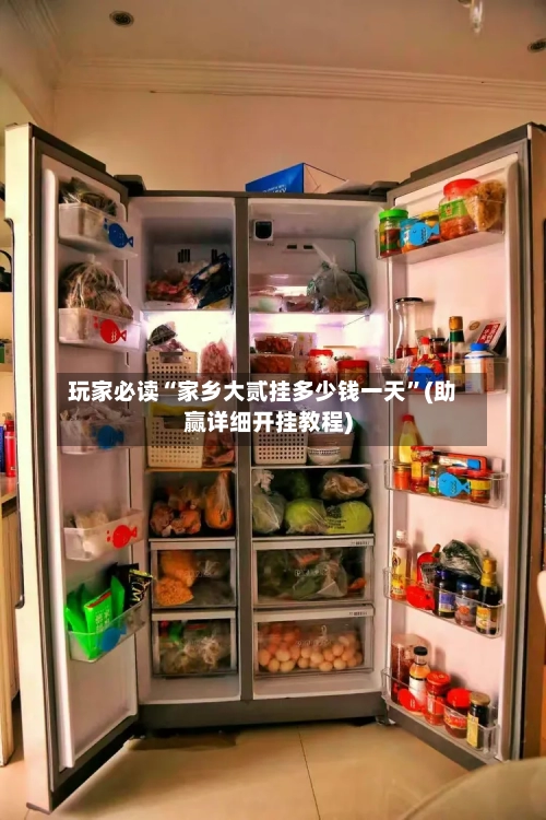 玩家必读“家乡大贰挂多少钱一天”(助赢详细开挂教程)-第2张图片