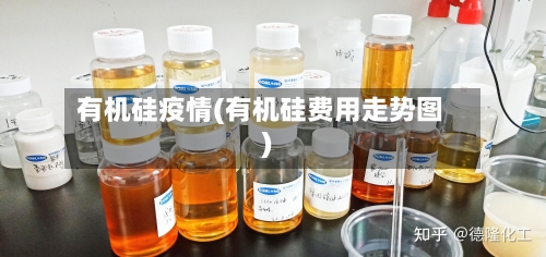 有机硅疫情(有机硅费用走势图)