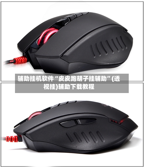 辅助挂机软件“皮皮跑胡子挂辅助”(透视挂)辅助下载教程-第2张图片