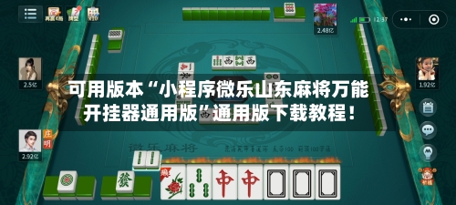 可用版本“小程序微乐山东麻将万能开挂器通用版”通用版下载教程！-第2张图片