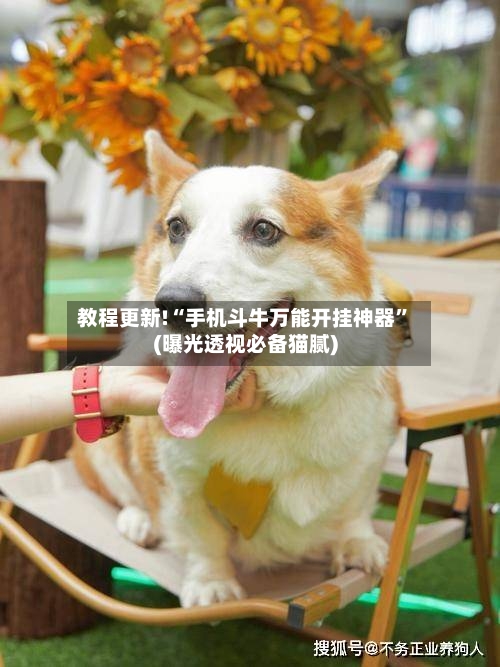 教程更新!“手机斗牛万能开挂神器”(曝光透视必备猫腻)