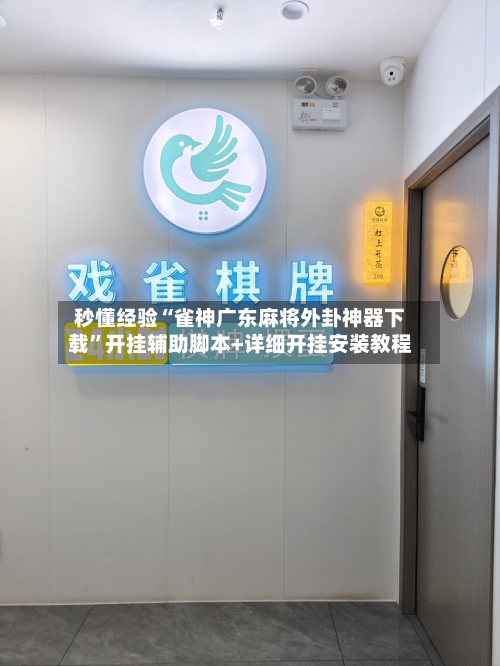 秒懂经验“雀神广东麻将外卦神器下载”开挂辅助脚本+详细开挂安装教程-第3张图片