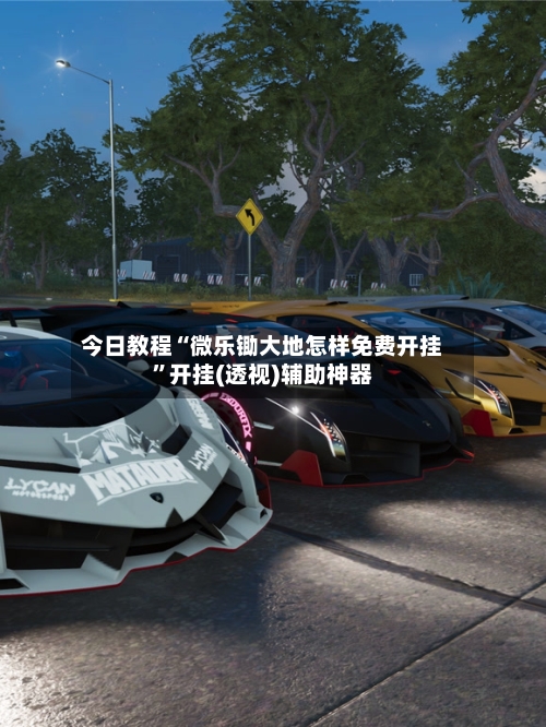 今日教程“微乐锄大地怎样免费开挂”开挂(透视)辅助神器-第2张图片