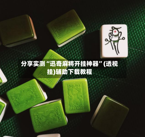 分享实测“迅奇麻将开挂神器”(透视挂)辅助下载教程-第2张图片