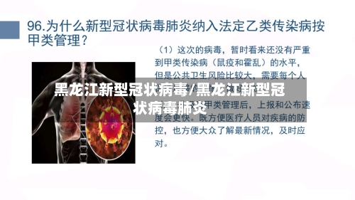 黑龙江新型冠状病毒/黑龙江新型冠状病毒肺炎