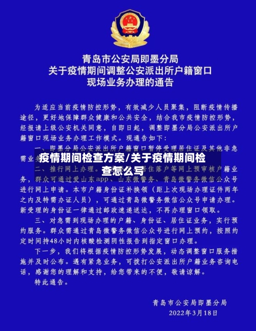 疫情期间检查方案/关于疫情期间检查怎么写-第3张图片