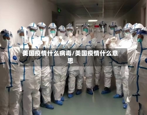 美国疫情什么病毒/美国疫情什么意思