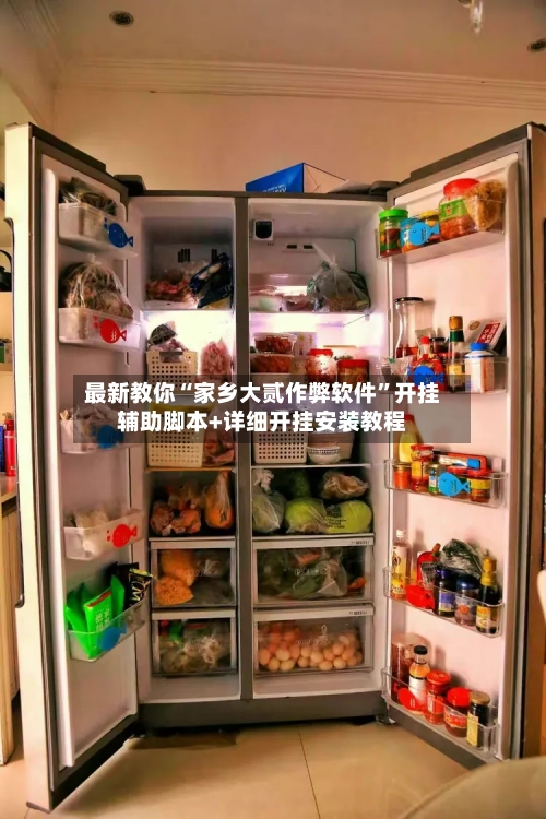 最新教你“家乡大贰作弊软件”开挂辅助脚本+详细开挂安装教程-第2张图片