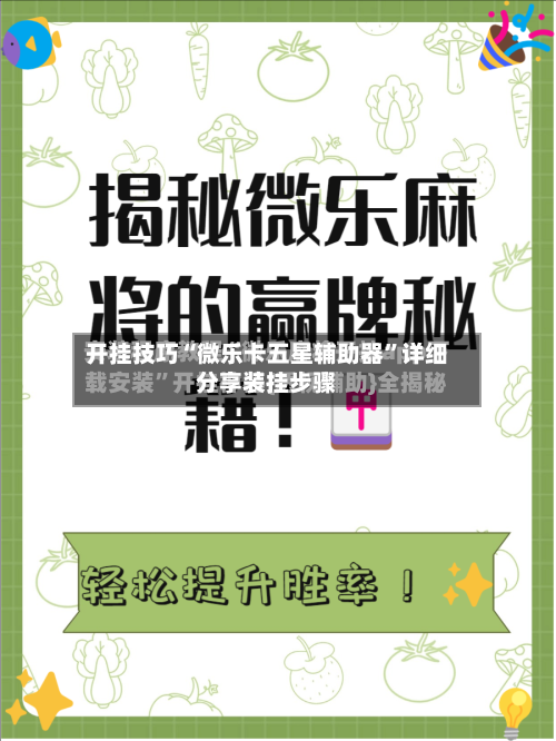 开挂技巧“微乐卡五星辅助器”详细分享装挂步骤-第3张图片