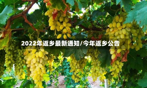 2022年返乡最新通知/今年返乡公告-第3张图片