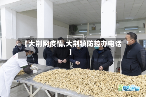 【大荆网疫情,大荆镇防控办电话】-第2张图片