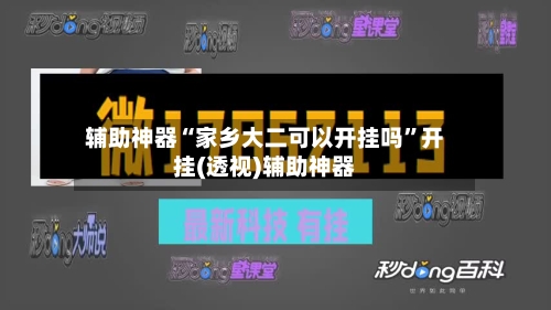 辅助神器“家乡大二可以开挂吗”开挂(透视)辅助神器-第3张图片