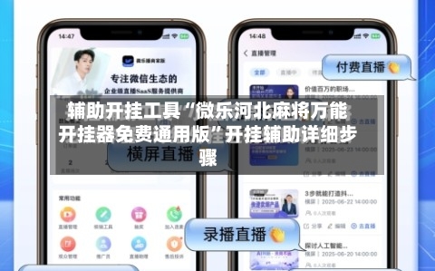 辅助开挂工具“微乐河北麻将万能开挂器免费通用版	”开挂辅助详细步骤-第3张图片