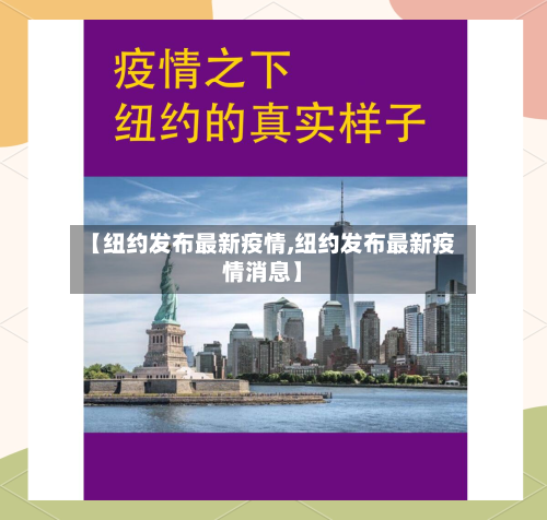 【纽约发布最新疫情,纽约发布最新疫情消息】-第3张图片