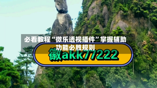 必看教程“微乐透视插件”掌握辅助功能必胜规则-第2张图片