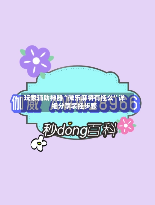 玩家辅助神器“微乐麻将有挂么”详细分享装挂步骤