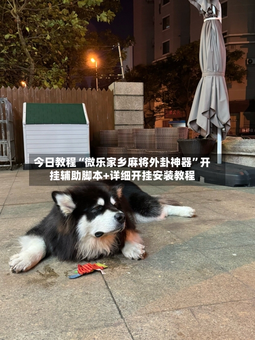 今日教程“微乐家乡麻将外卦神器”开挂辅助脚本+详细开挂安装教程