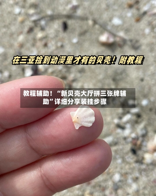 教程辅助！“新贝壳大厅拼三张牌辅助	”详细分享装挂步骤-第3张图片