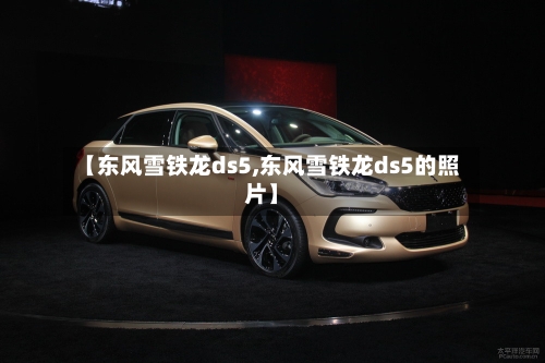 【东风雪铁龙ds5,东风雪铁龙ds5的照片】-第3张图片