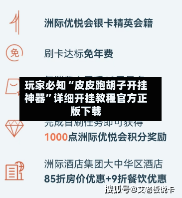 玩家必知“皮皮跑胡子开挂神器	”详细开挂教程官方正版下载-第2张图片